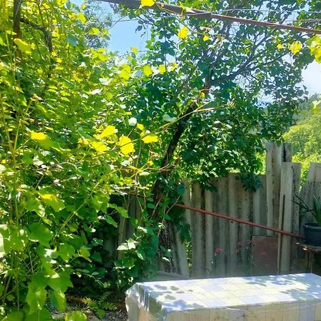 Guest House Gogias Cixe Borjomi Exterior photo