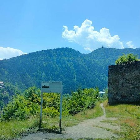 Guest House Gogias Cixe Borjomi Exterior photo