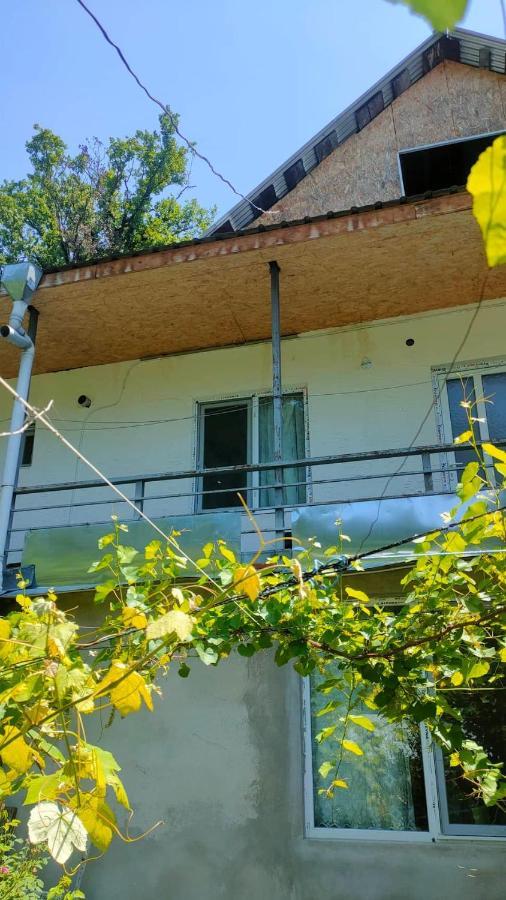 Guest House Gogias Cixe Borjomi Exterior photo