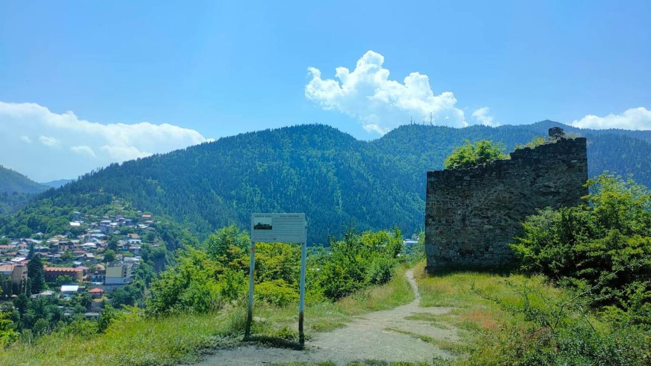 Guest House Gogias Cixe Borjomi Exterior photo