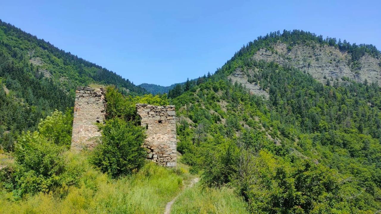 Guest House Gogias Cixe Borjomi Exterior photo